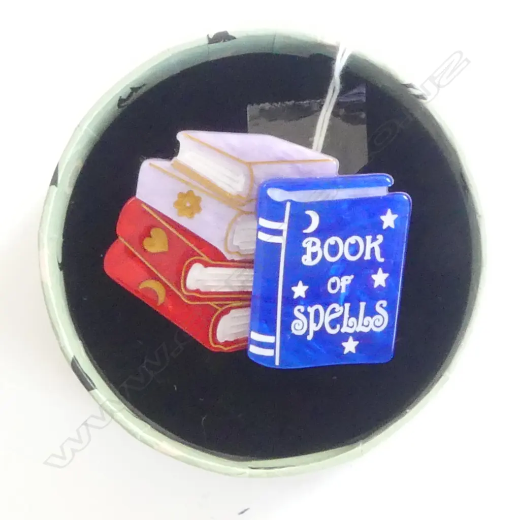ERSTWILDER LIMITED EDITION 'KITSCHY WITCH' BROOCH -Spellbook  (boxed) Image 1++