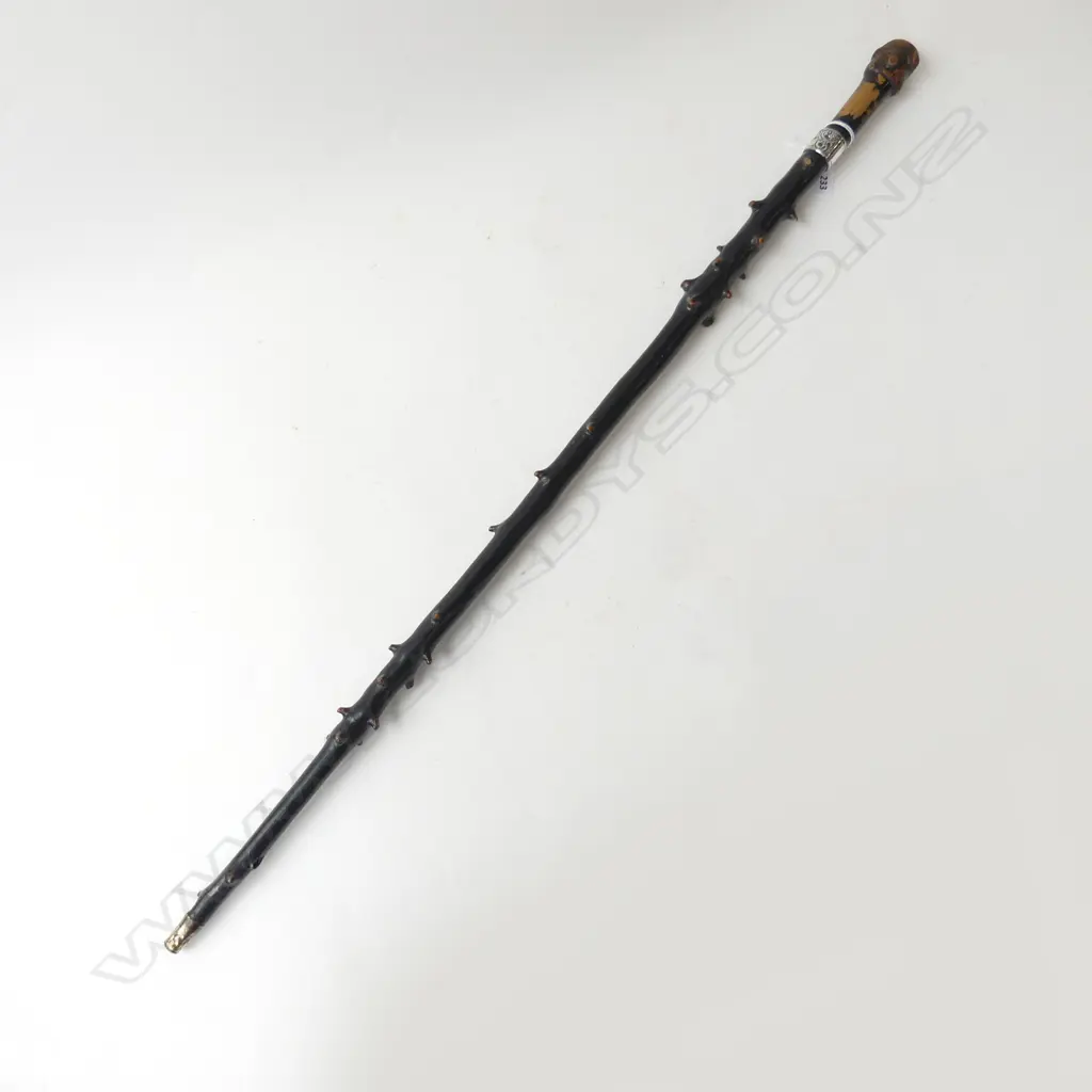 EBONISED WALKING STICK w. STG BAND L.875mm Image 1++