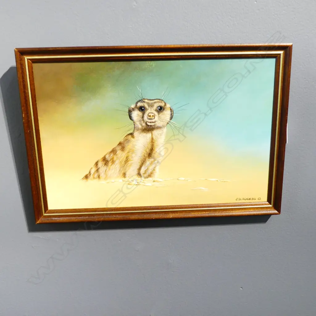 J. BLACKBURN, MEERCAT, ACRYLIC ON BOARD 160x245mm Image 1++