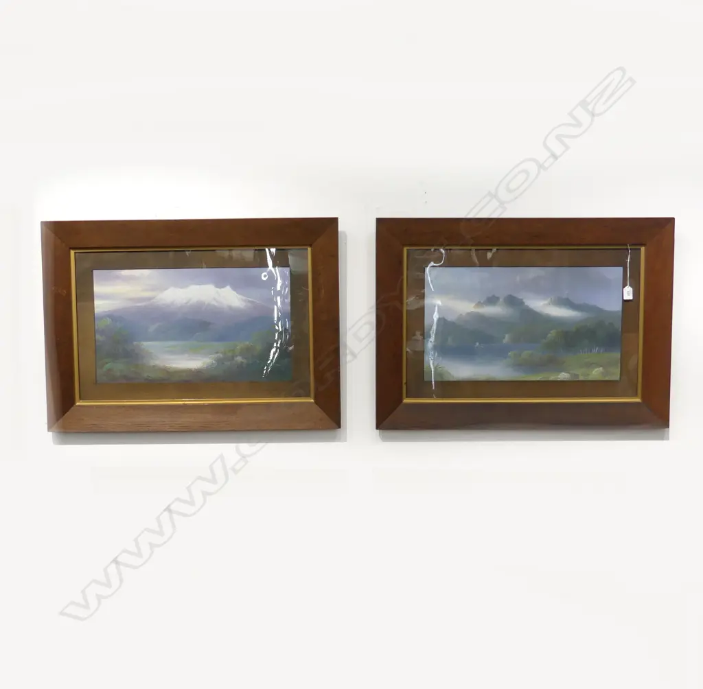 PR A. FITZROY COLONIAL LANDSCAPE OILS IN OAK FRAMES 310x540mm Image 1++