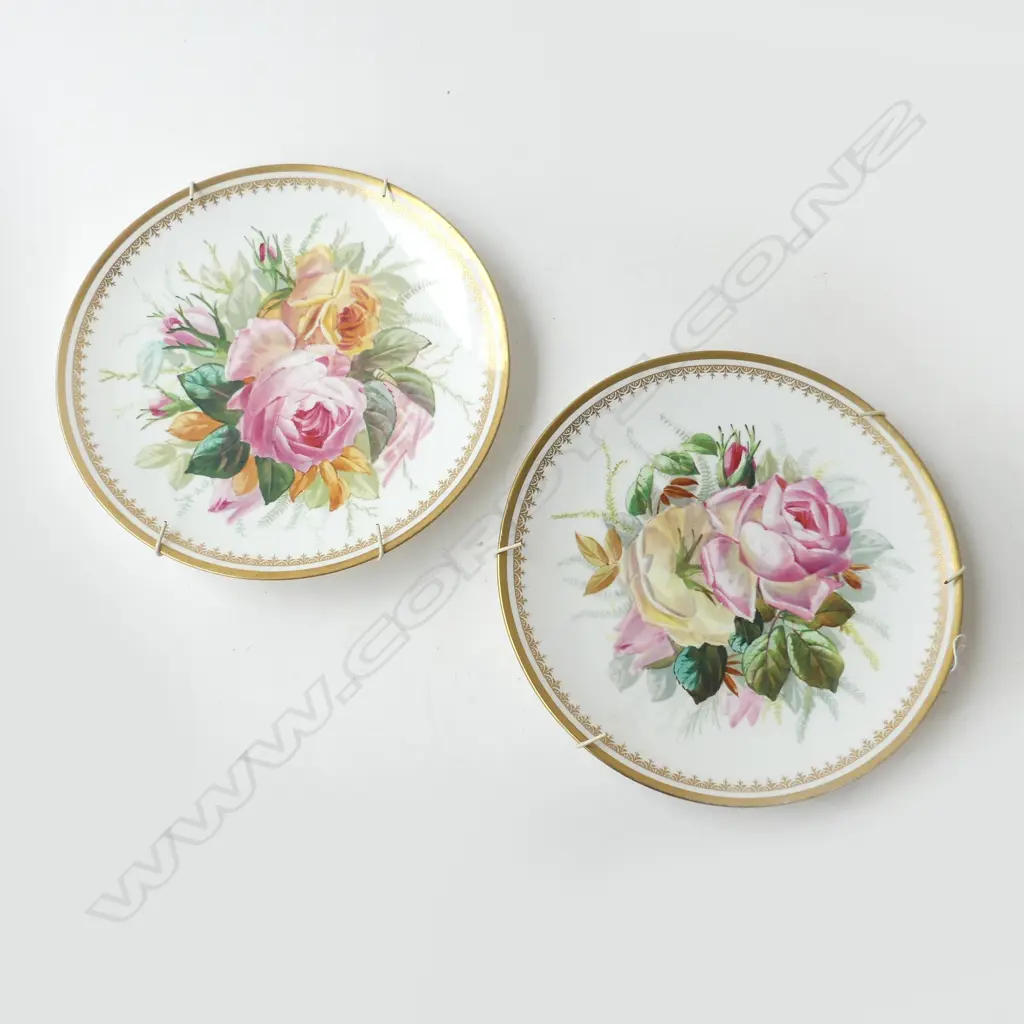 PR VICTORIAN BODLEY H/PAINTED PLATES 235mm dia Image 1++