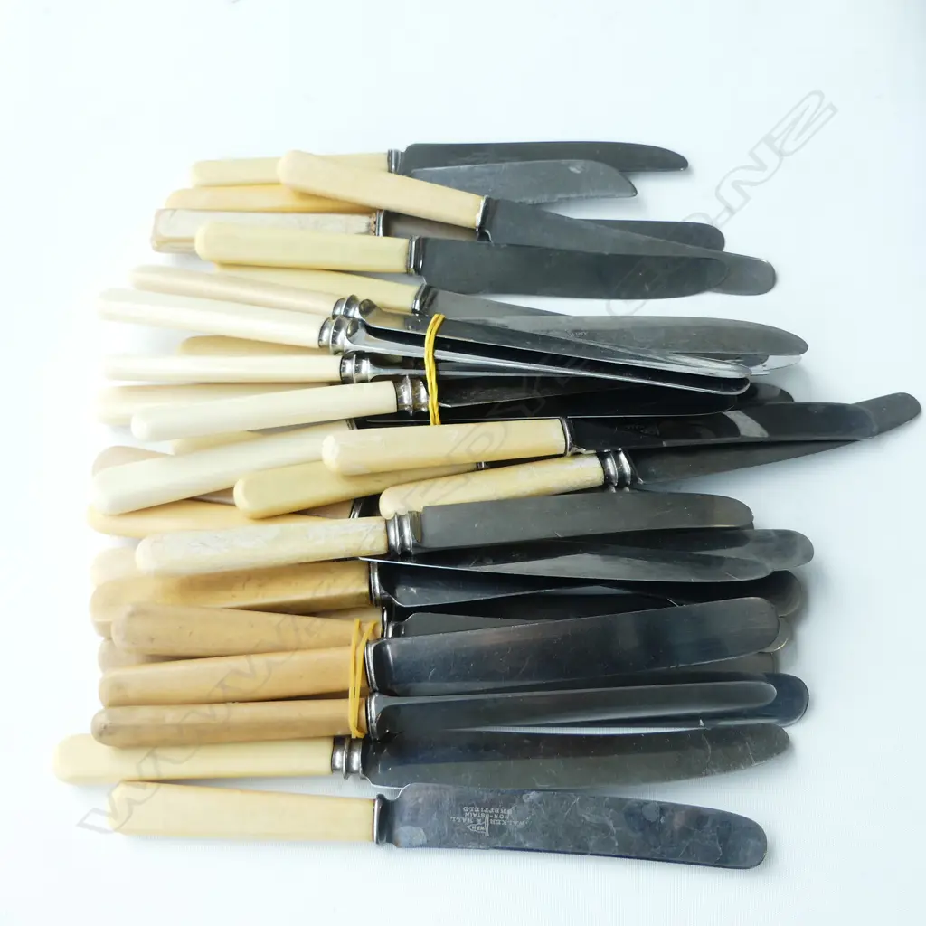 ASST. IVORINE 'BONE' HANDLED KNIVES Image 1++