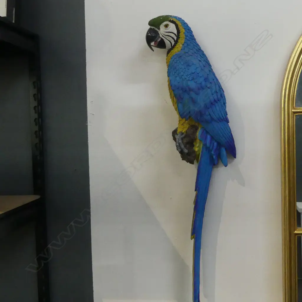 RESIN WALL MACAW PARROT H.750mm Image 1++