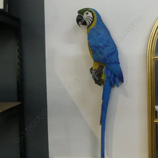 RESIN WALL MACAW PARROT H.750mm