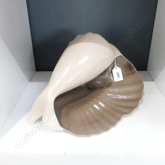 LG POOLE SHELL BEIGE & BROWN, L.280 x 160mm