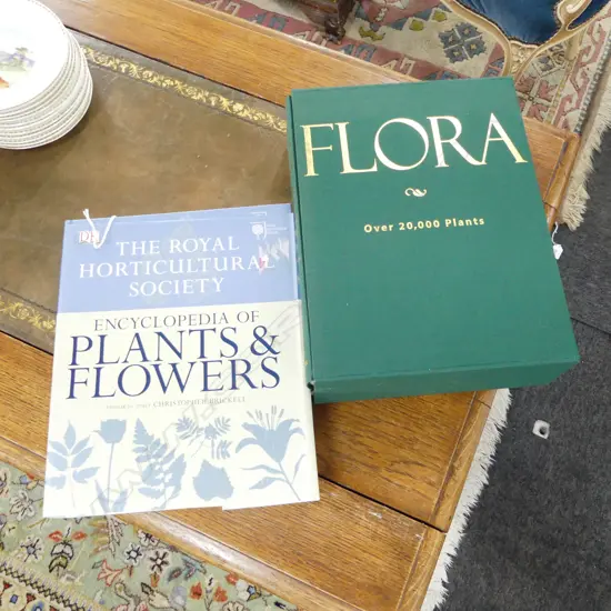 2 BOTANICAL BOOKS; FLORA & DK ENCYCLOPEDIA