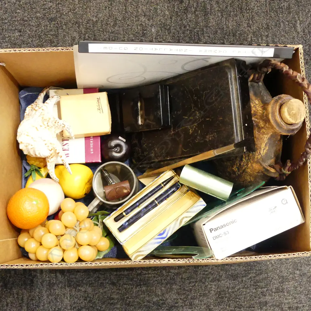 TRAY OF COLLECTABLES INCLDS NEW LUMIC CAMERA, IAN FIRTH HANGING POT, VINTAGE PENS ETC Image 1++