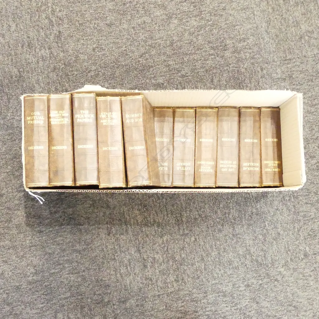 DICKENS NOVELS, LIBRARY QUALITY Image 1++
