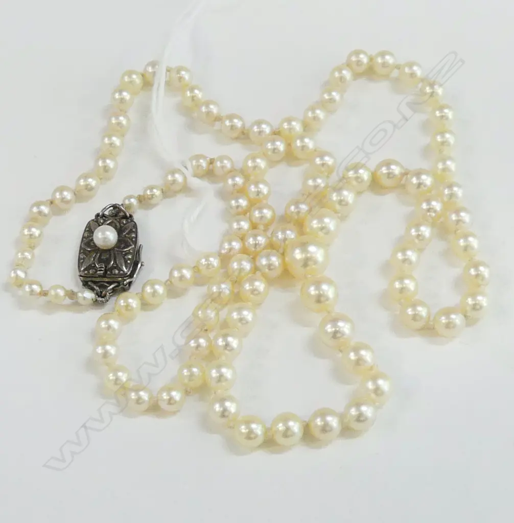 SINGLE STRAND PEARL NECKLACE BY MIKIMOTO (Mikimoto clasp) Image 1++