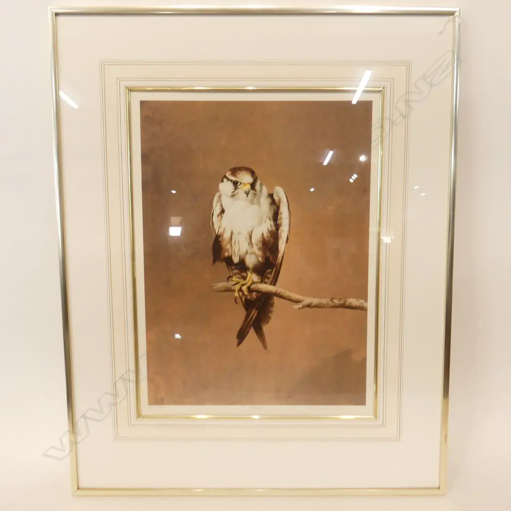 RAYMOND CHING 'FALCON' PRINT 37/850 510x370mm Image 1++