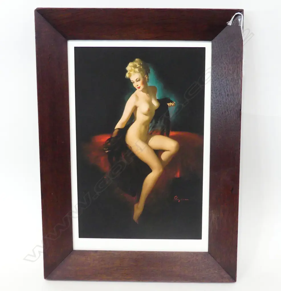 PIN-UP PRINT 400x260mm Image 1++