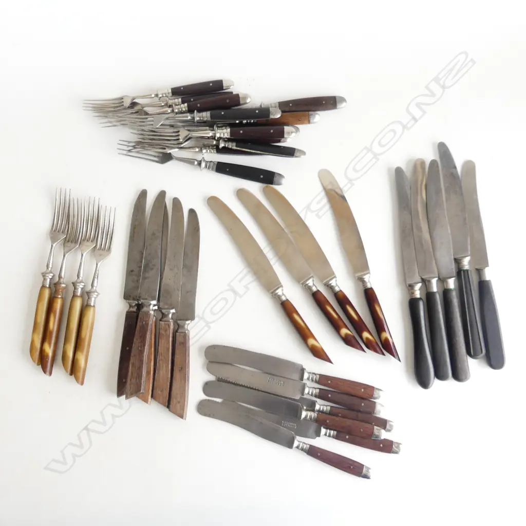 BOX OF VINTAGE GERMAN KNIVES & FORKS w WOOD & HORN HANDLES Image 1++