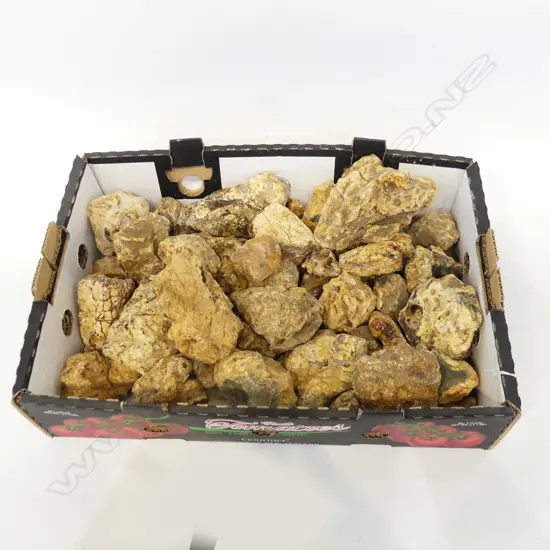 BOX OF KAURI GUM 