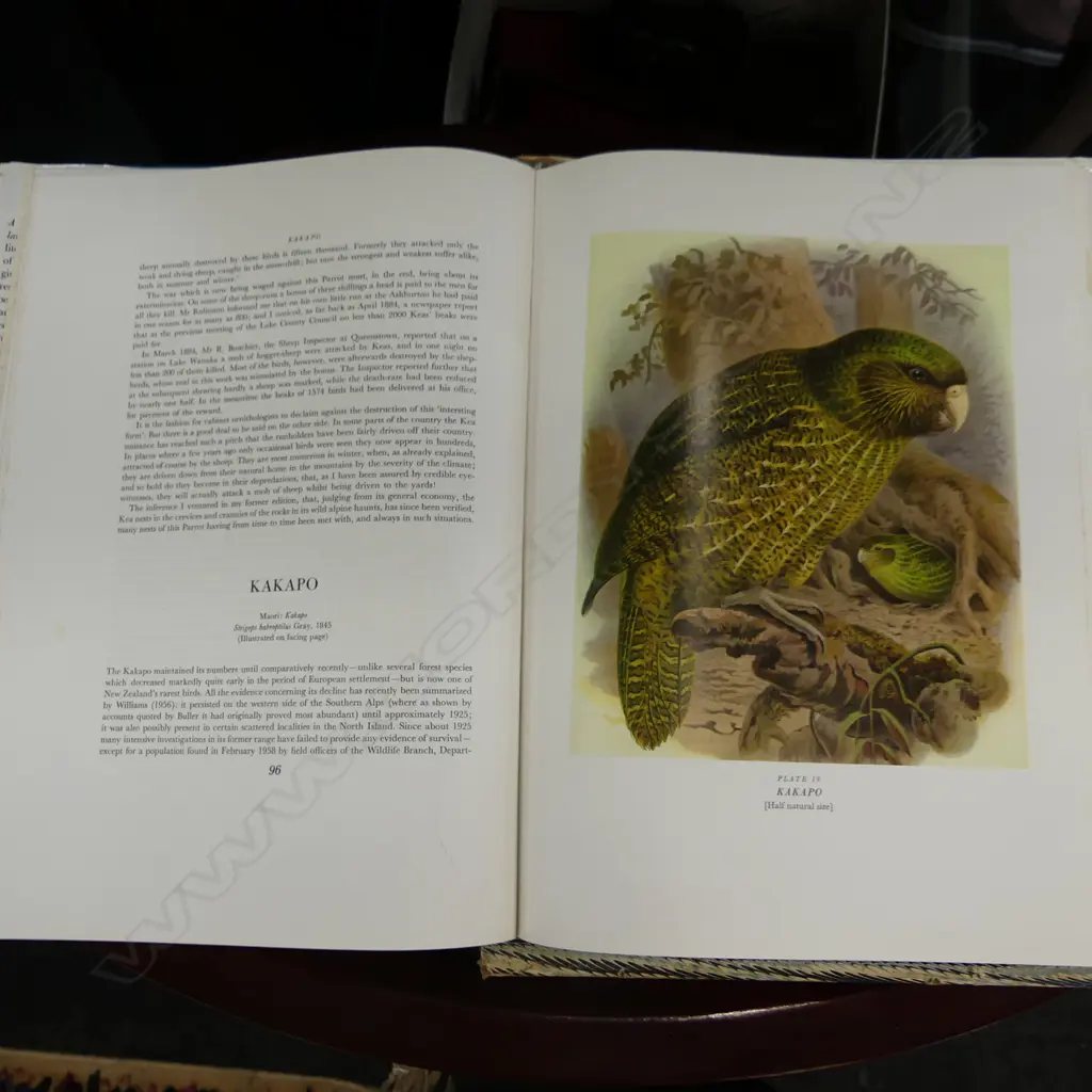 CASED BOOK: BULLERS BIRDS OF NEW ZEALAND 380x275mm Image 1++