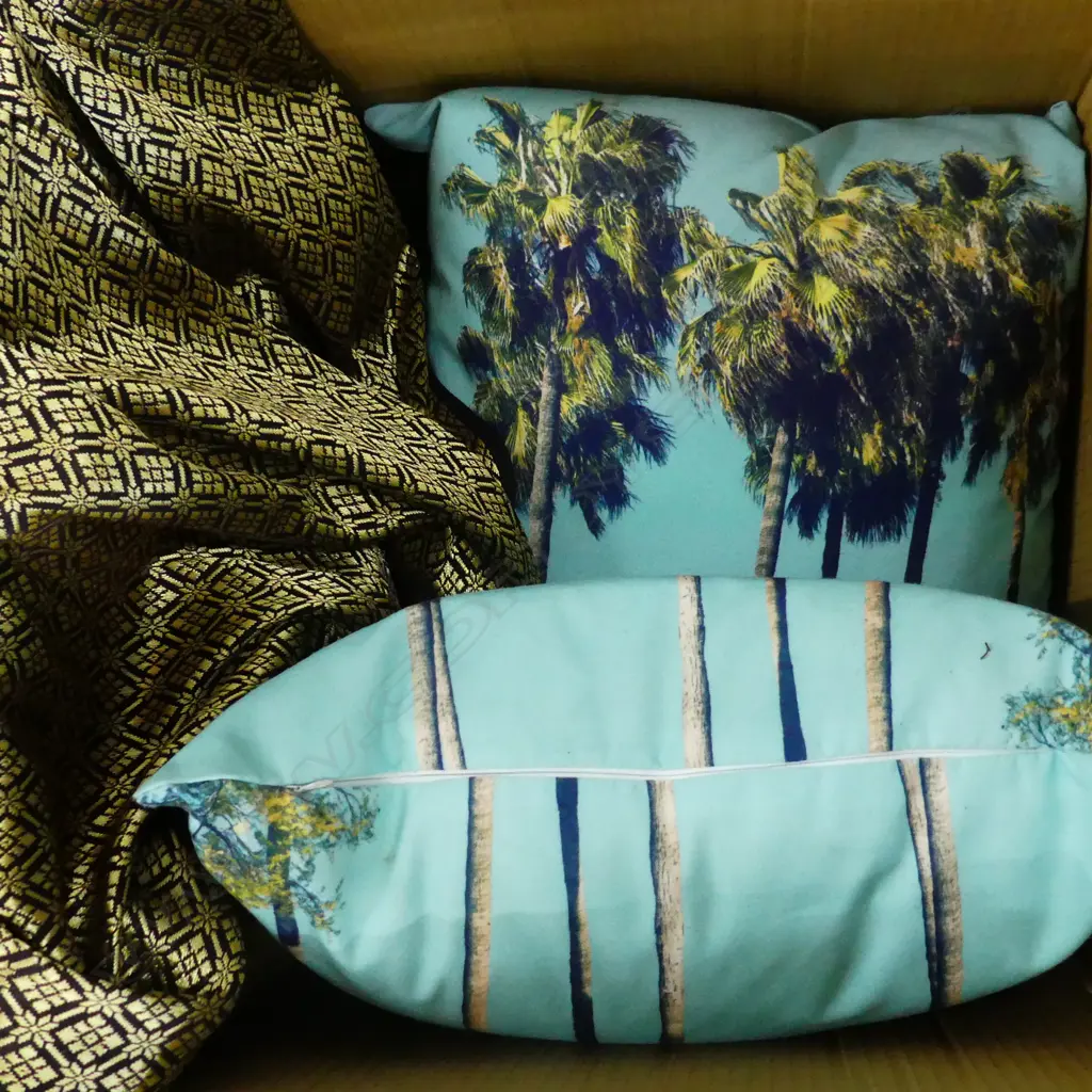 BOX LOT CUSHIONS TABLE THROWS ETC Image 1++