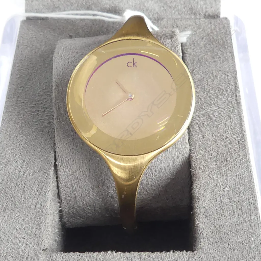 DKNY CALVIN KLEIN WRIST WATCH IN  ORIGINAL BOX  Image 1++