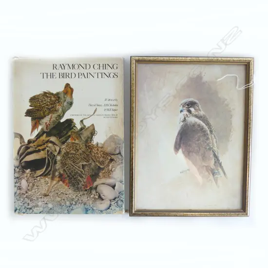 (25517) RAYMOND CHING FALCON PRINT + BOOK 'THE BIRD PAINTINGS'