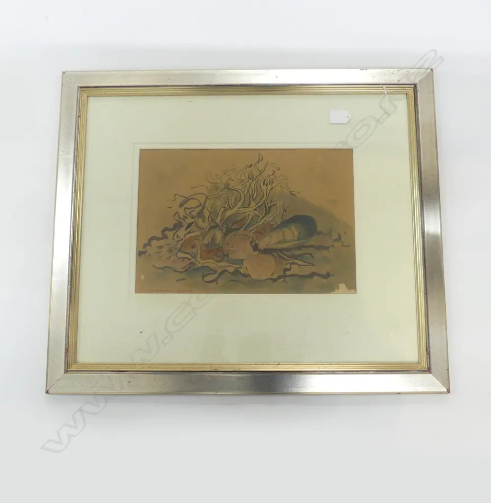 T. A. McCORMACK (1883-1973), STILL LIFE WITH MUSSELS & CLAMS, WC 250x370mm signed & dated '11 Image 1++