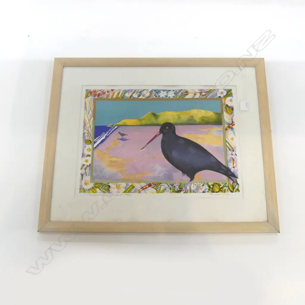PAMELA WOLFE 'OYSTERCATCHER KAREKARE' LITHOGRAPH 28/54 360x495mm Image 1++