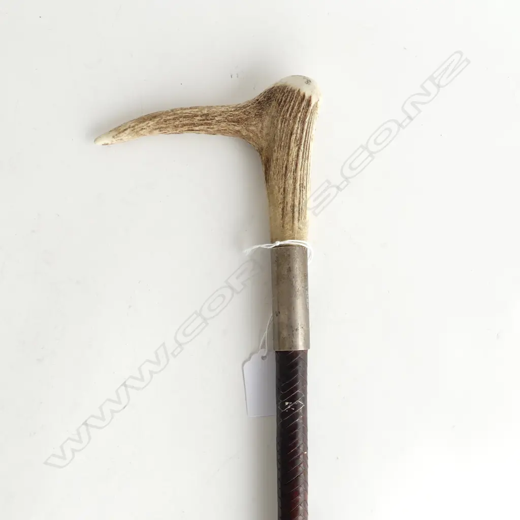 VINTAGE LEATHER HUNTING WHIP, DEER ANTLER HANDLE Image 1++