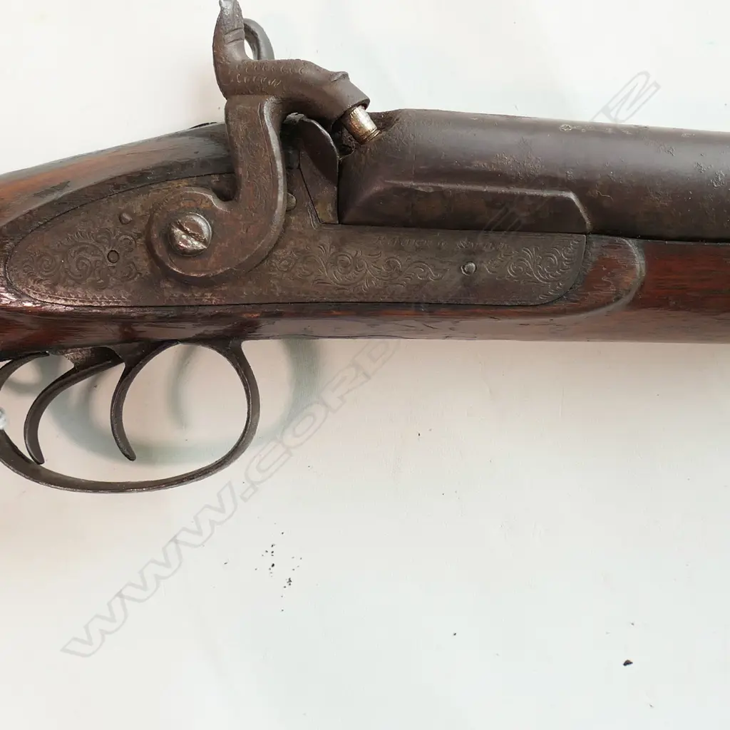 English 12g percussion double barrel shotgun, Image 1++