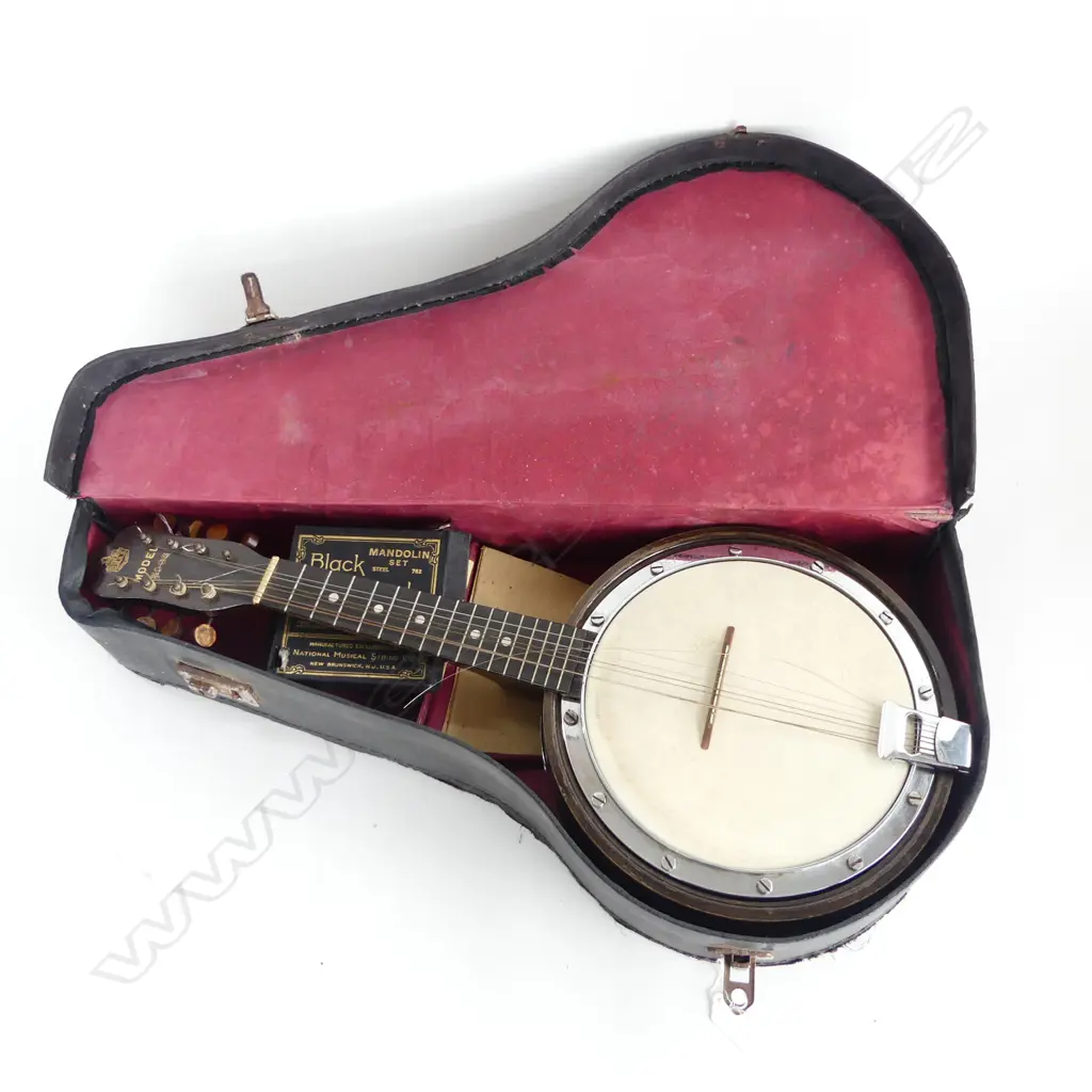 CASED BRITISH MADE BANJOLELE Image 1++