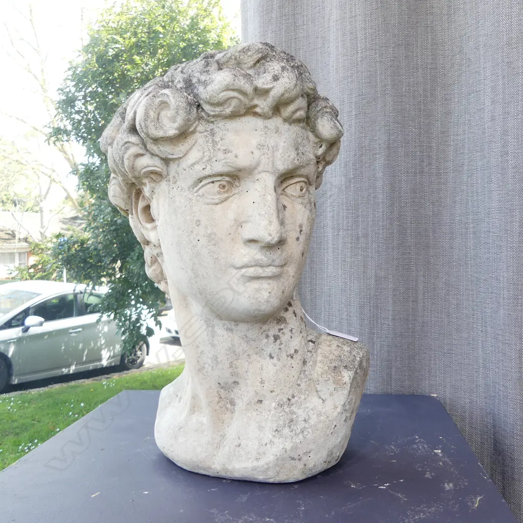 MICHELANGELO DAVID BUST - A large and heavy sculptural head, of Michelangelo's David. H.400mm. Image 1++