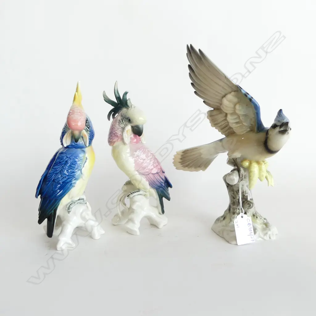 3 GERMAN PORCELAIN BIRDS; PR KARL ENS COCKATOO PARROTS + HUTSCHENREUTHER BLUE JAY (minor chips) H.235mm  Image 1++
