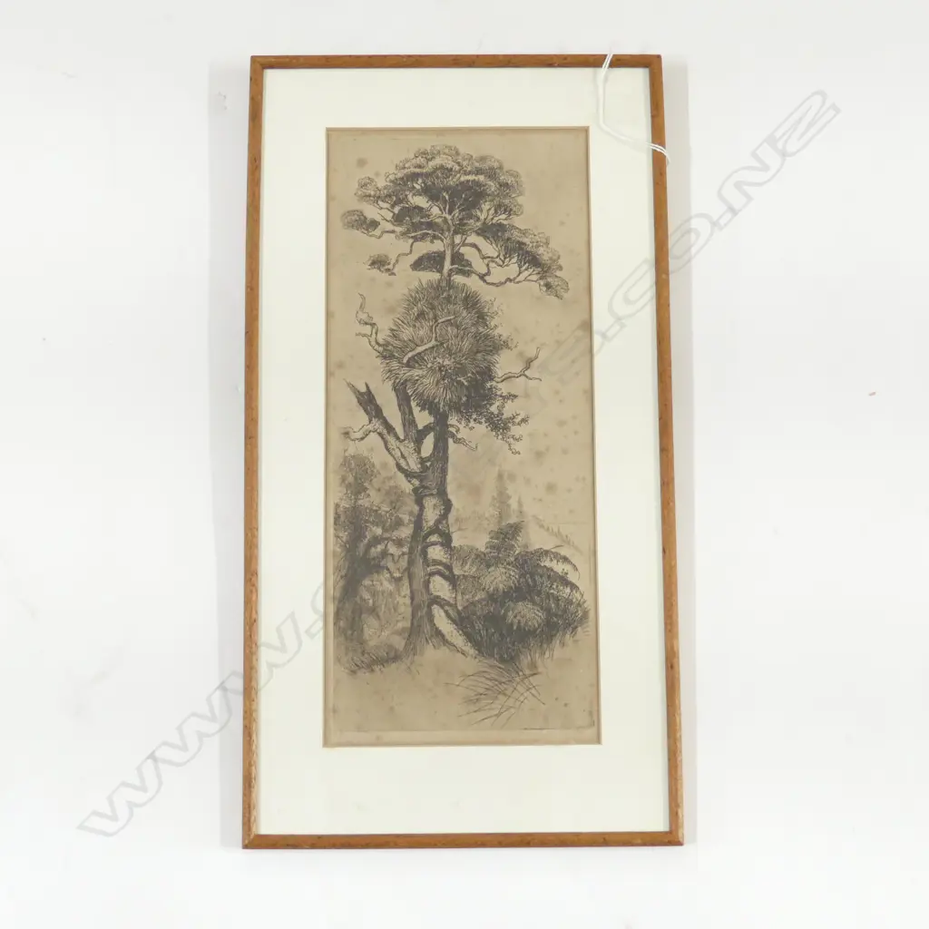 TREVOR LLOYD ETCHING, TALL TREE, 340x150mm, FOXING Image 1++