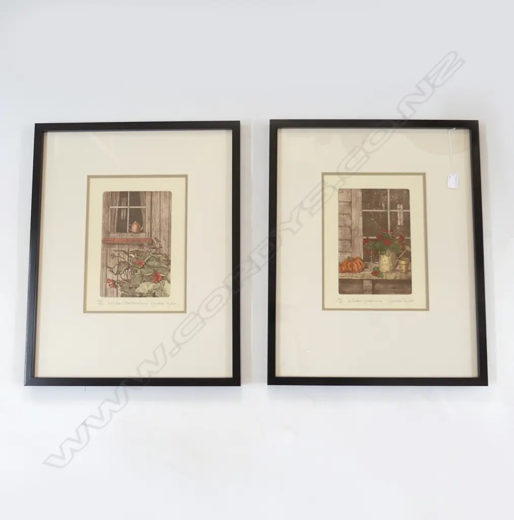 2 CYNTHIA TAYLOR ETCHINGS; 'WINDOW GERANIUMS' 46/60 & 'WINDOW NASTURTIUMS' 52/60 310x230mm  Image 1++
