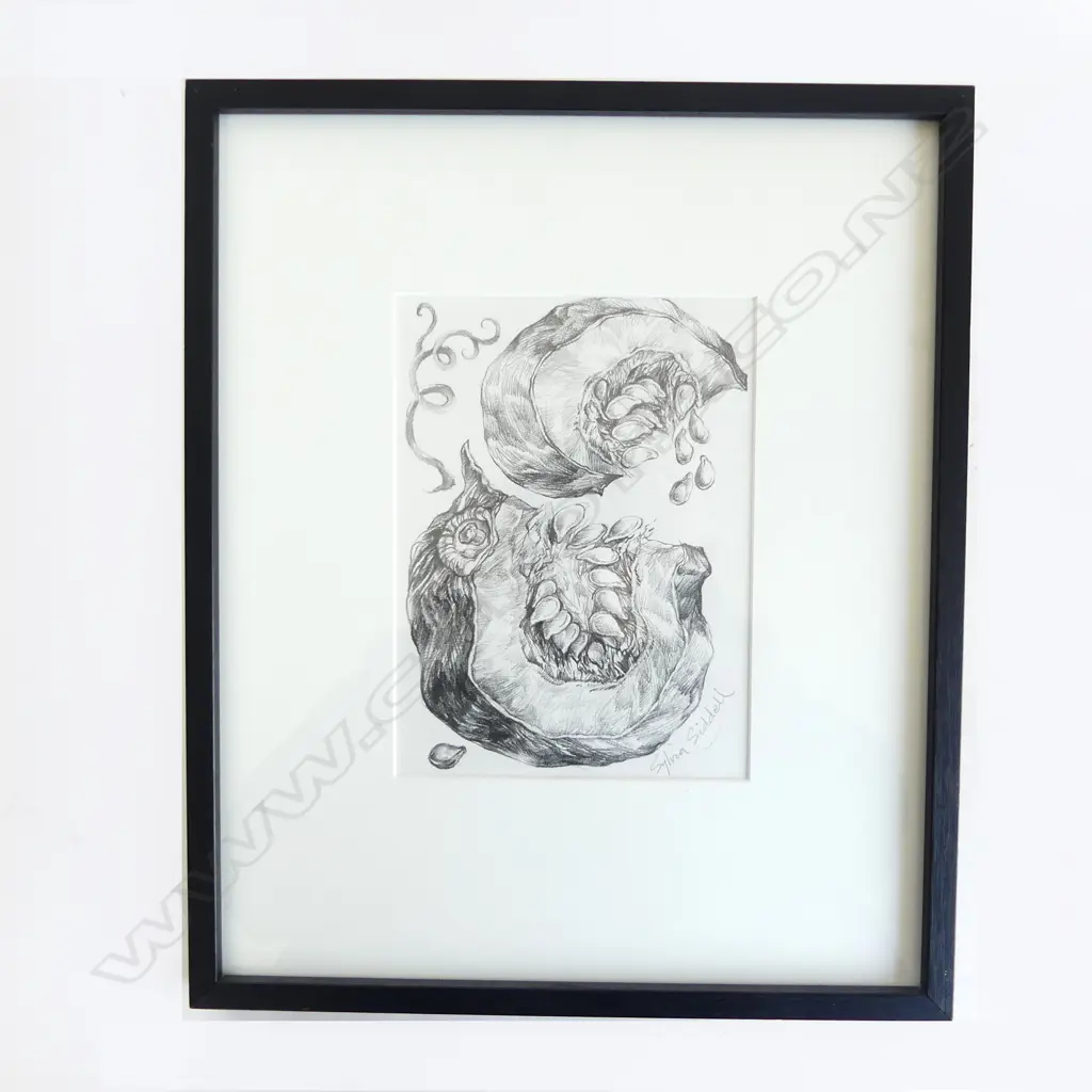 SYLVIA SIDDELL 'CUT PUMPKIN', PENCIL ON PAPER, SIGNED, 200 x 150mm Image 1++