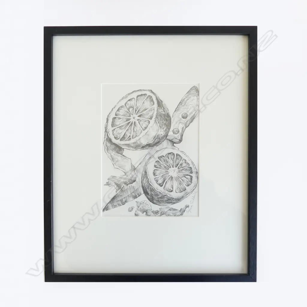 SYLVIA SIDDELL 'SLICED LEMON', PENCIL ON PAPER, SIGNED, 200 x 150mm Image 1++