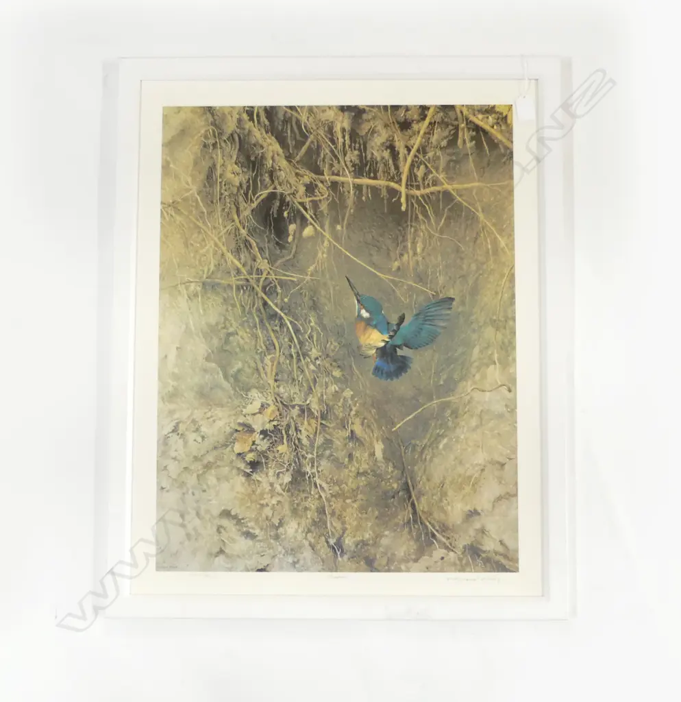 RAYMOND CHING KINGFISHER PHOTOGRAPHIC PRINT, 700 x 500mm Image 1++