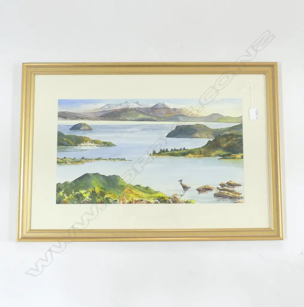 (24955) SUE GRAHAM W/C 'BETWEEN ROCKS and HARD PLACES, TAUPO' signed 290 X 515mm Image 1++