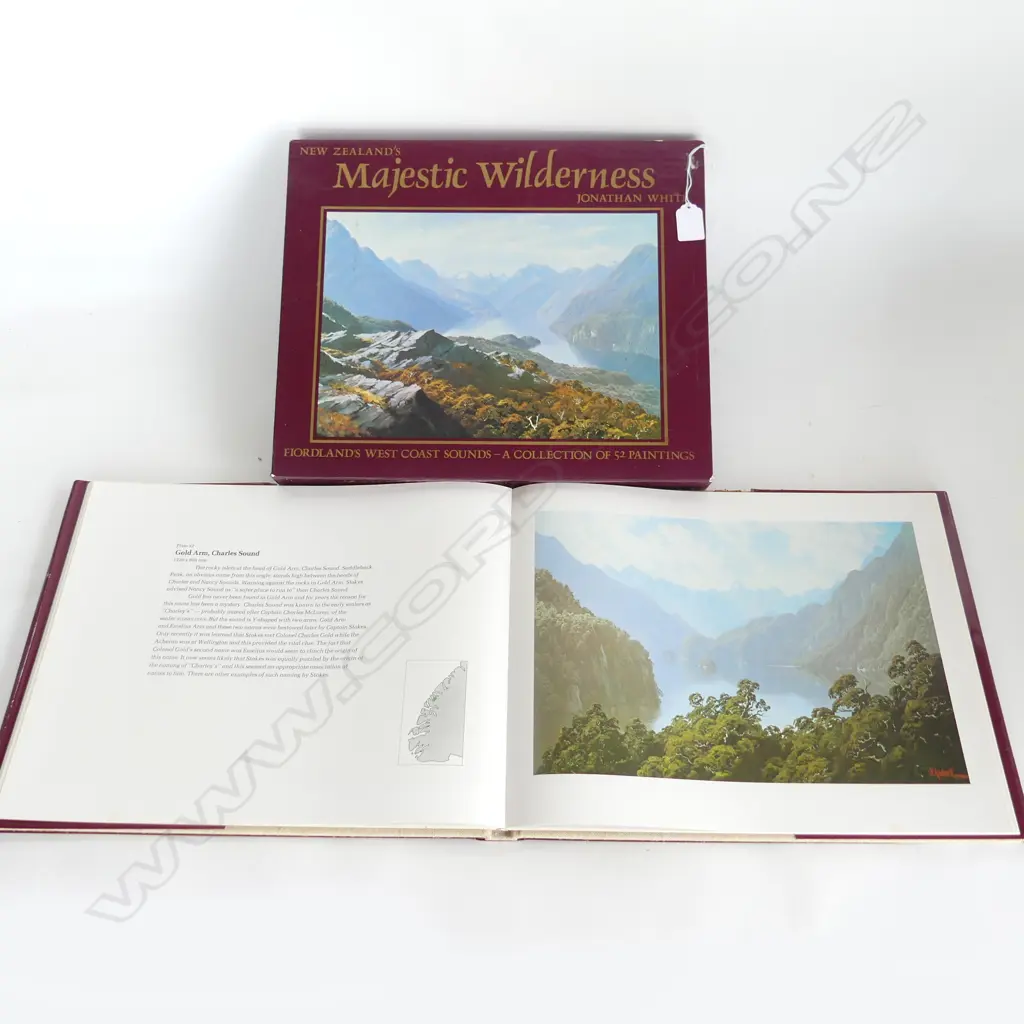 (24957) BOOK JONATHAN WHITE 'NZ MAJESTIC WILDERNESS' Fiordland's West Coat 52 paintings Image 1++