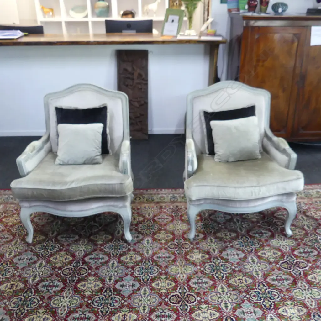 PR FRENCH STYLE ARMCHAIRS, cat scratches 800x700x950mm Image 1++