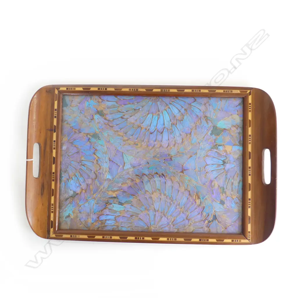 VINTAGE BUTTERFLY WING TRAY w MAQUETRY EDGING L.520 x 330mm Image 1++