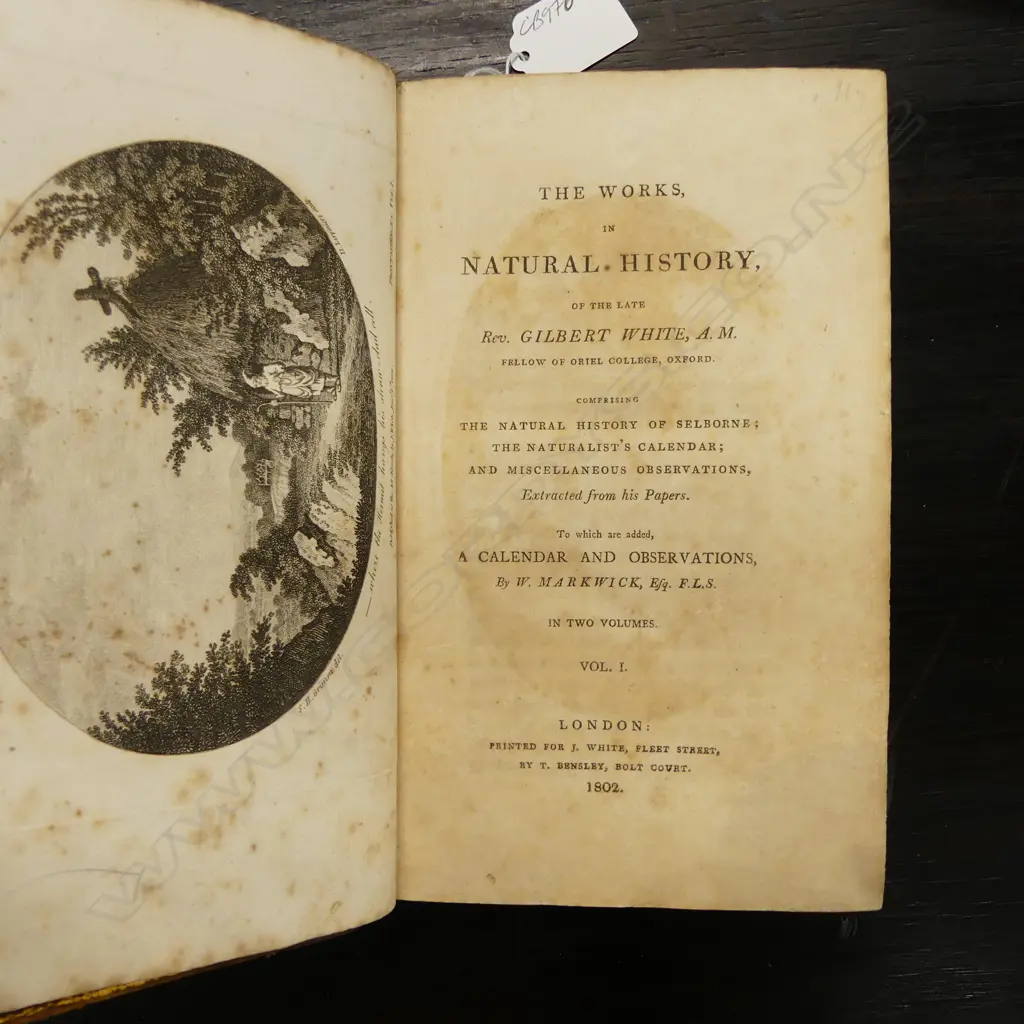 ANTIQUE 1802 BOOK: THE LATE REV. GILBERT WHITE A.M. 'THE WORKS IN NATURAL HISTORY' ' published by W.MARKWIC, Image 1++