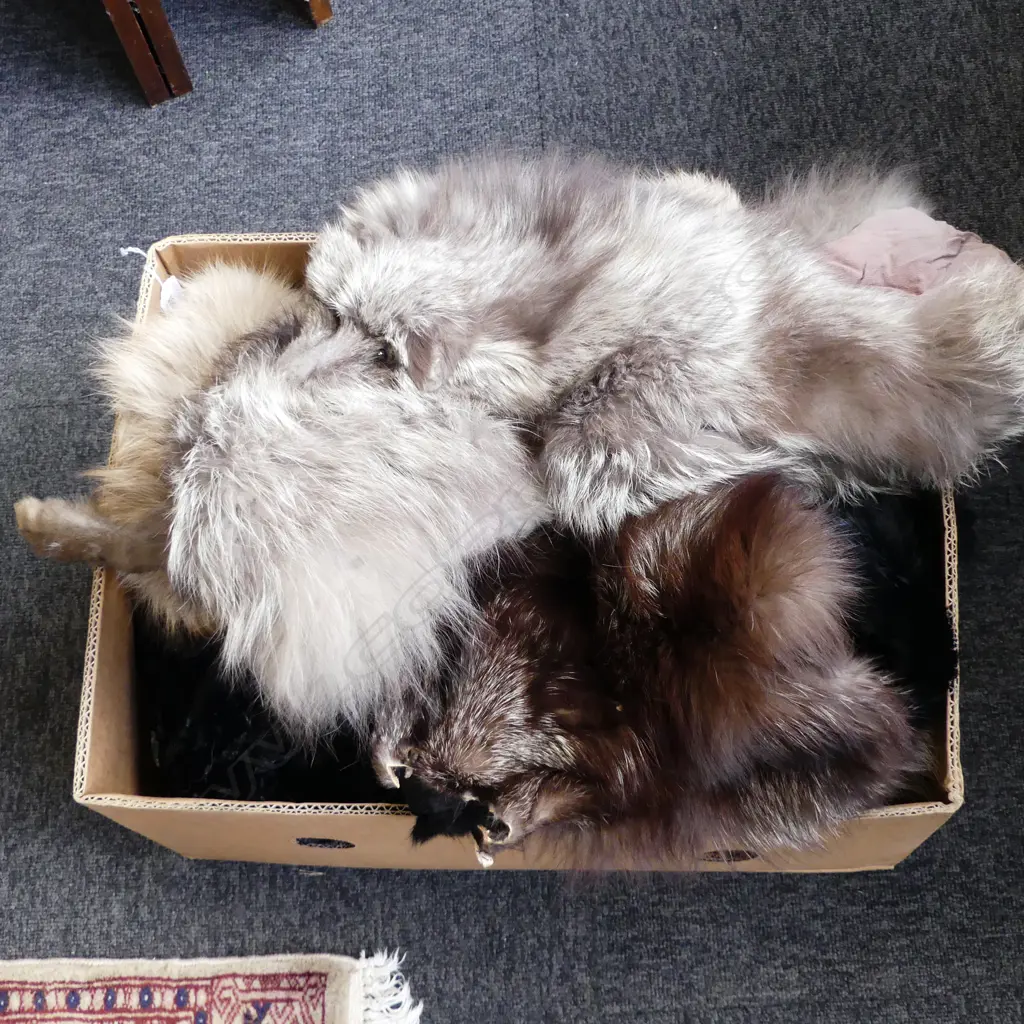 ASST. FURS; COAT, JACKET, 4 STOLES Image 1++