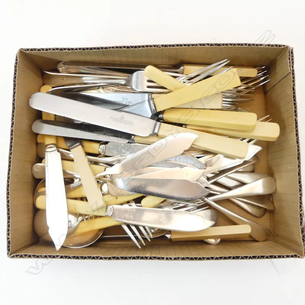 ASST. EP CUTLERY INCL. IVORINE 'BONE' HANDLED KNIVES & FISH SET Image 1++