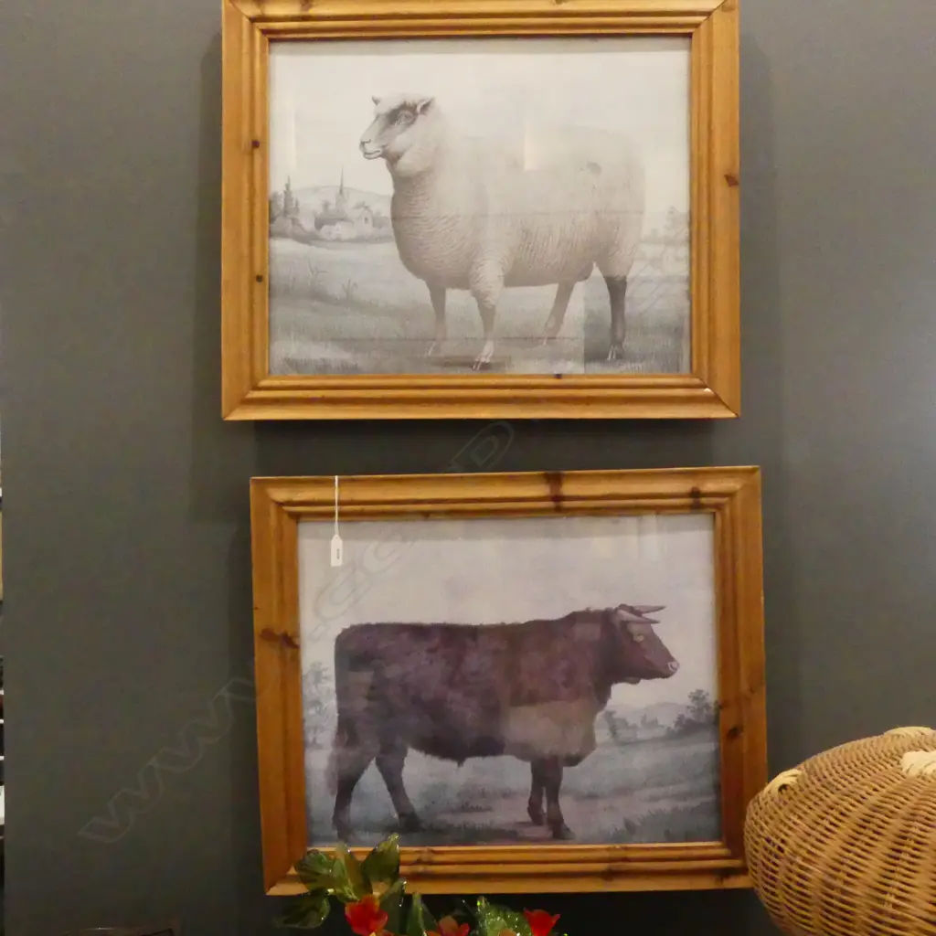 PR ANTIQUE STYLE LIVESTOCK PRINTS; SHEEP & COW 390x490mm Image 1++
