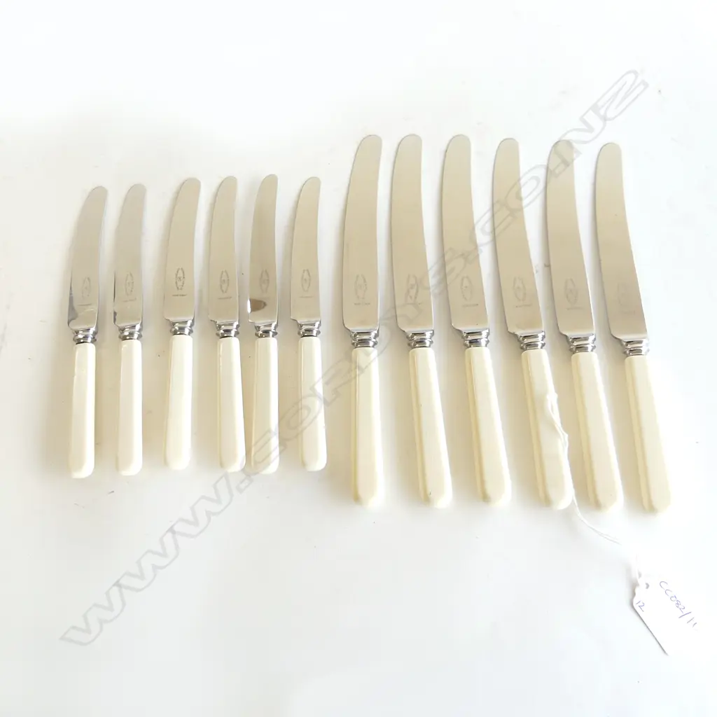 12 IVORINE 'BONE' HANDLED KNIVES, 6x230mm, 6x180mm Image 1++