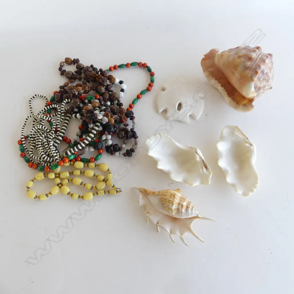 ASST. COSTUME JEWELLERY + SHELLS Image 1++