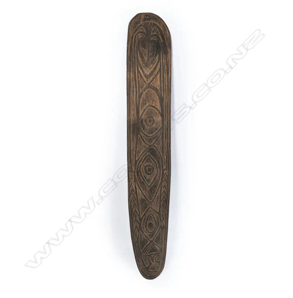 PNG Upper Sepik River carved wooden shield, Image 1++