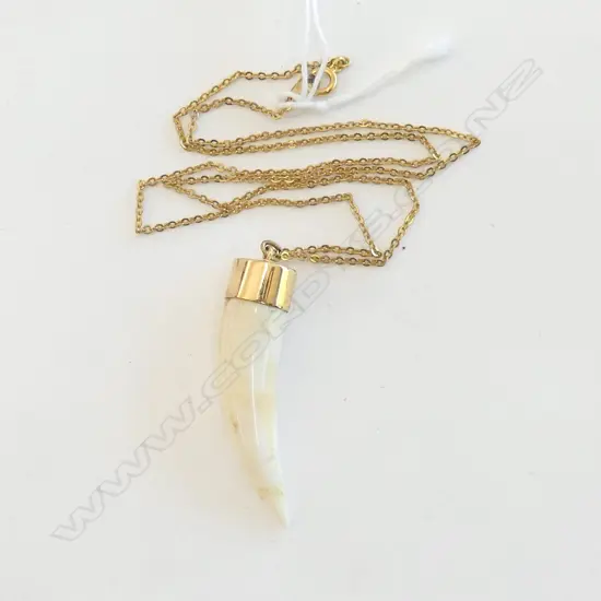18ct GOLD MOUNTED TOOTH WITH ROLLED GOLD CHAIN 45CM