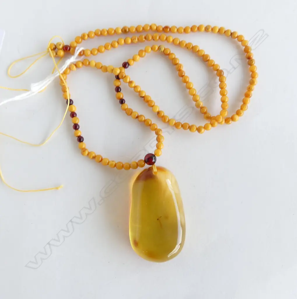 AMBER 'LOOK' BEADED NECKLACE Image 1++