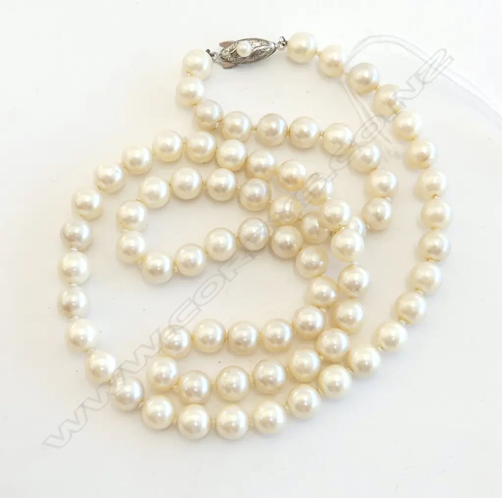 AKOYA PEARL NECKLACE - 75 PEARLS Image 1++