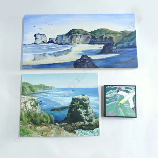 3 ACRYLIC ON CANVAS ARTWORKS; PHIL RIMMER GANNET 205x200mm, JUDY McLEAN 'MORNING FLIGHT' 380x760mm, UNKNOWN MURIWAI 