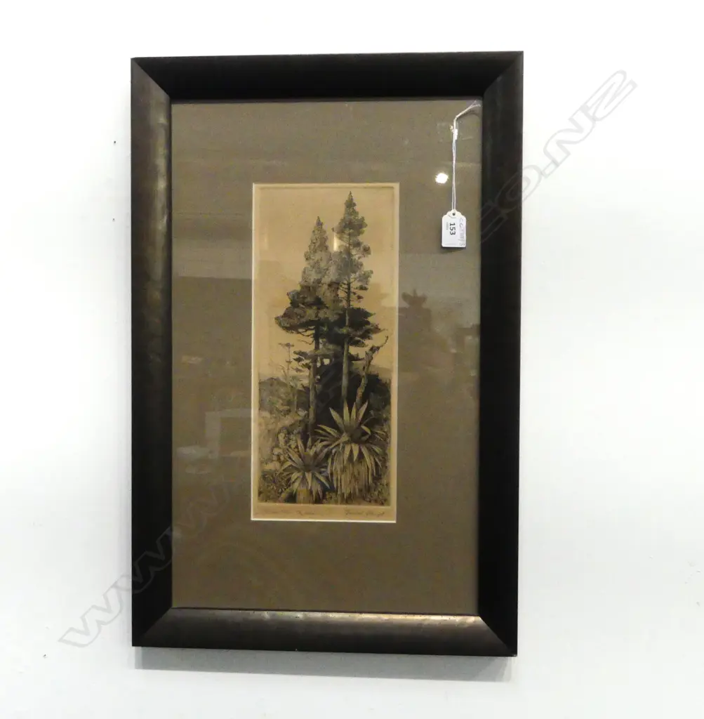 TREVOR LLOYD 'MOUNTAIN CYPRESS' ETCHING 340x145mm Image 1++