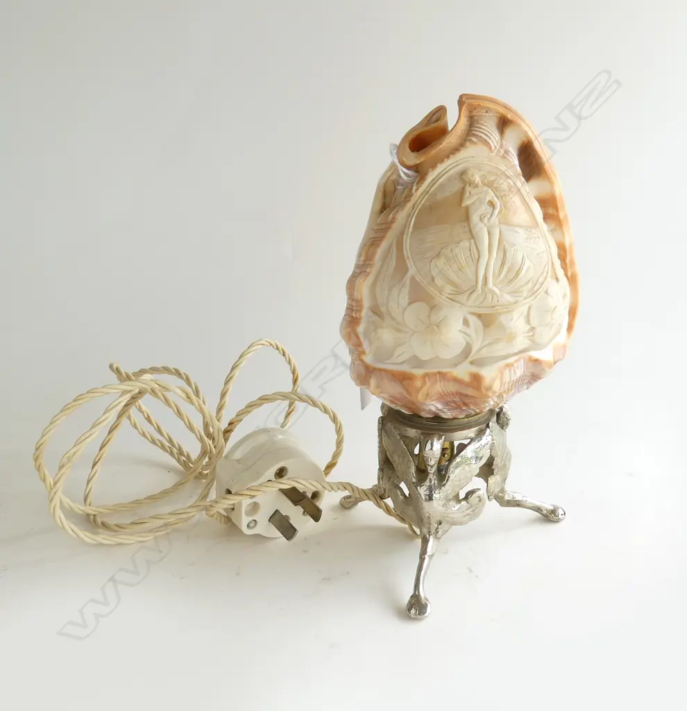 SHELL LAMP H.195mm Image 1++